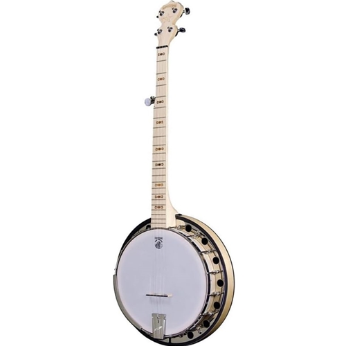 100201 Deering Goodtime Two Banjo With Resonator - Maple - Made in USA